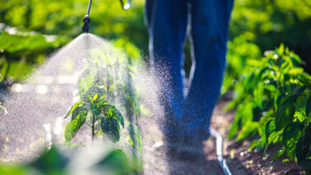 Plaguicidas y fertilizantes: herramientas indispensables para garantizar la seguridad alimentaria y mejorar la economía