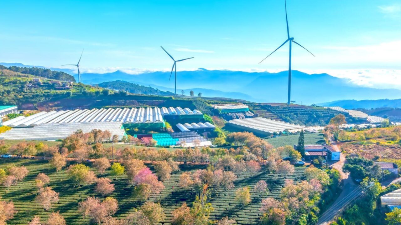 Energía renovable, sinónimo de buenas prácticas para un futuro verde