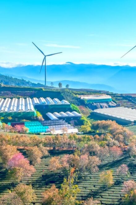 Energía renovable, sinónimo de buenas prácticas para un futuro verde