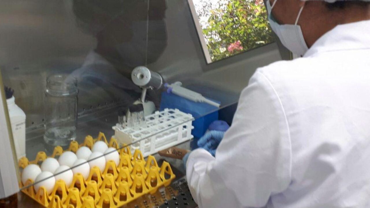 Norberto Matzer Ovalle, una vida dedicada a transformar la avicultura guatemalteca