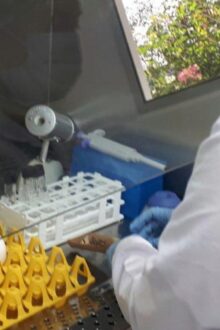 Norberto Matzer Ovalle, una vida dedicada a transformar la avicultura guatemalteca