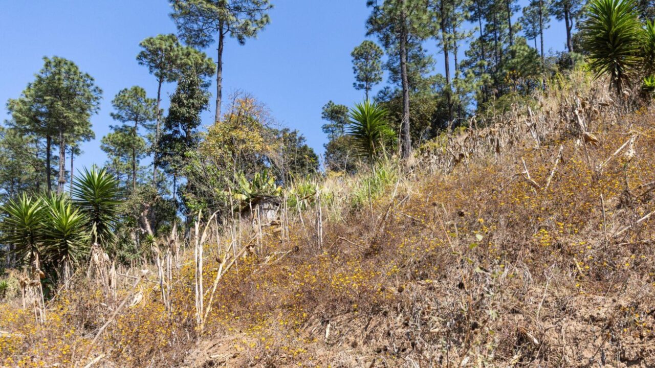 CONECTA impulsa el desarrollo social en el Caserío El Jordán, Chimaltenango