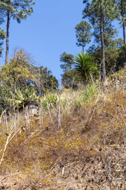 CONECTA impulsa el desarrollo social en el Caserío El Jordán, Chimaltenango