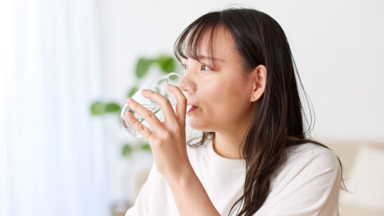 Lácteos y eje intestino-cerebro: fermentación, microbiota y salud del consumidor