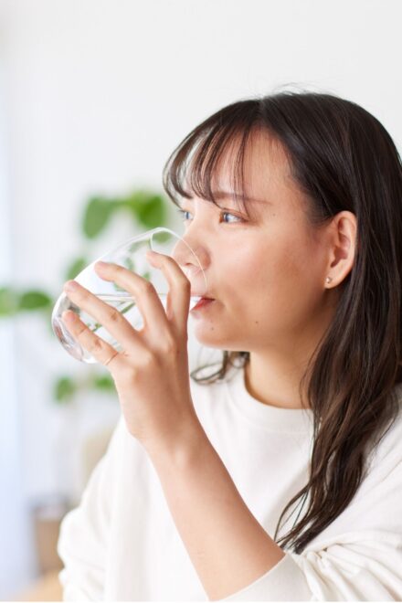 Lácteos y eje intestino-cerebro: fermentación, microbiota y salud del consumidor