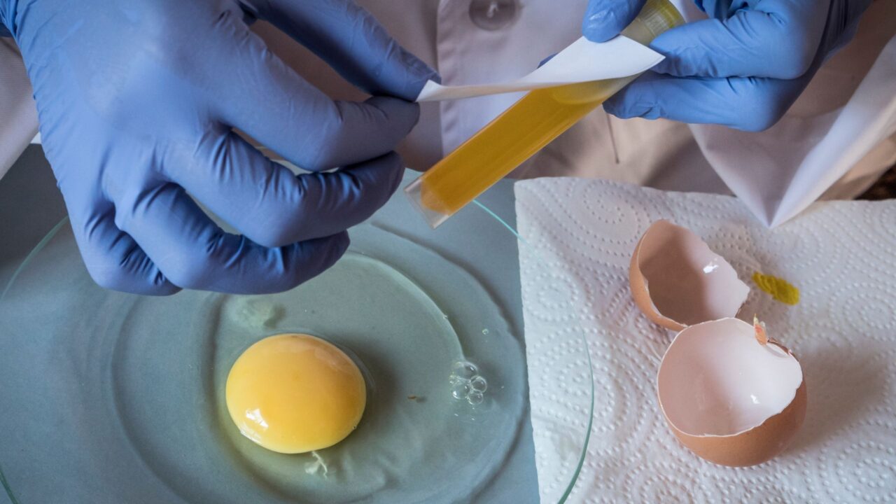 ¿Por qué realizar estudios de vida útil y monitoreo ambiental en la producción de huevos?